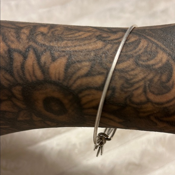 RARE Alex and Ani Walt Disney World Bracelet - Picture 12 of 13